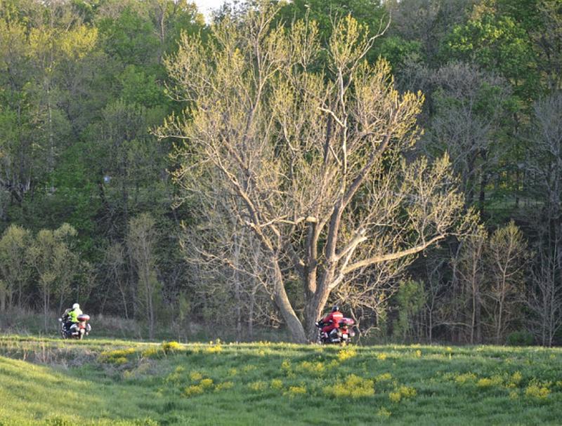DSC_0194-M