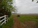 DSCN0234-M