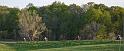 DSC_0193-M