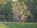 DSC_0194-M