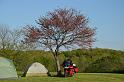 DSC_0298-M